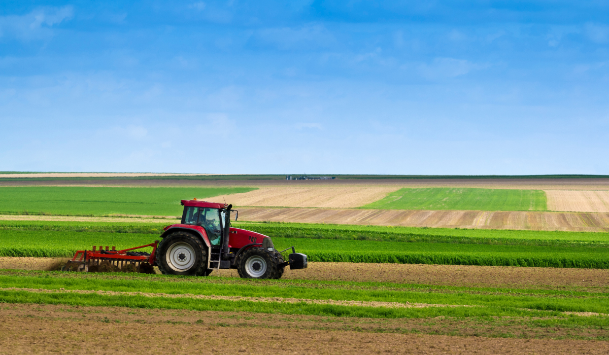 Protezione agricoltura e agriturismo