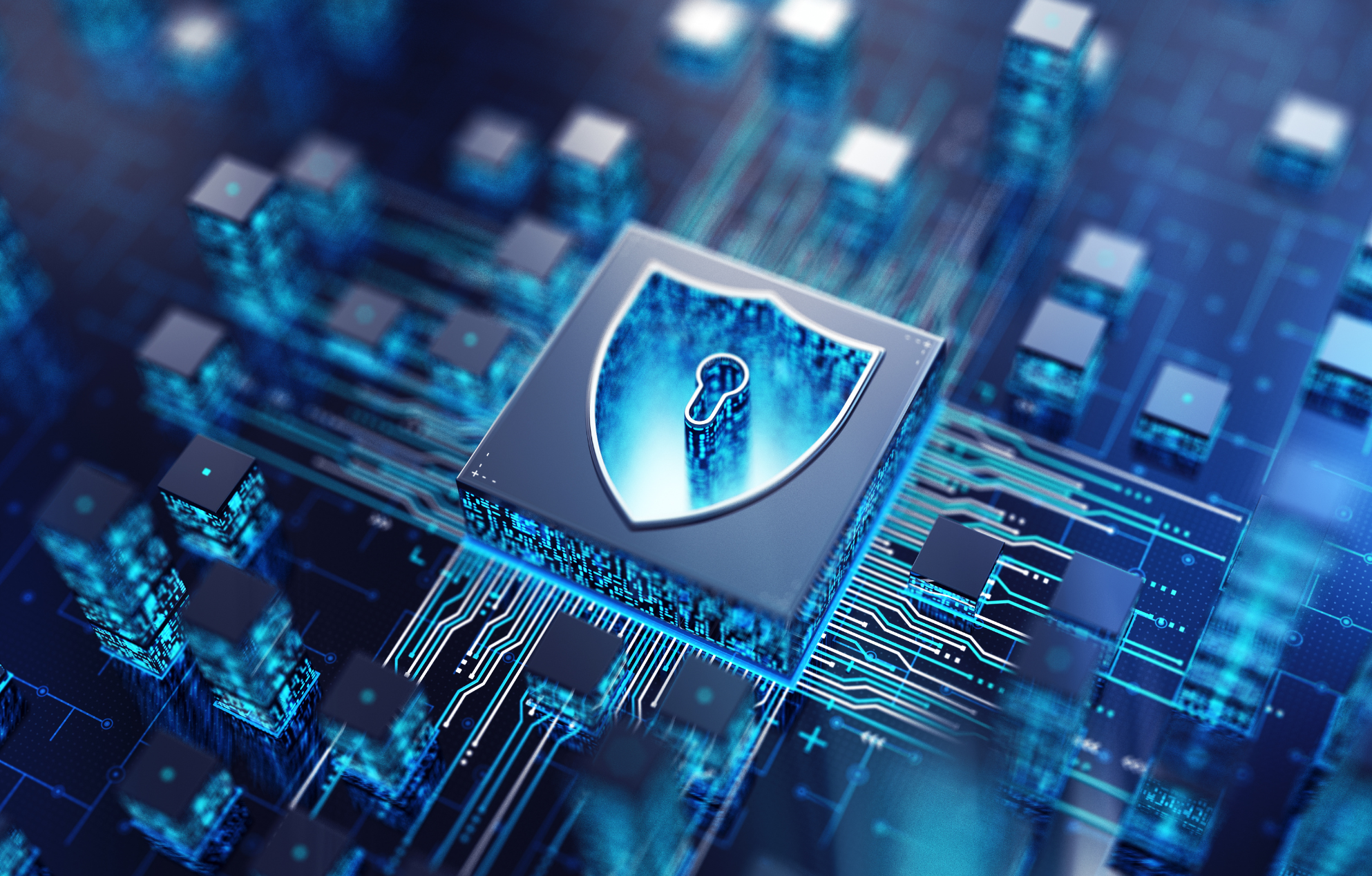 Quali-sono-i-vantaggi-della-Polizza-Cyber-Risk Polizza Cyber Risk e minacce digitali